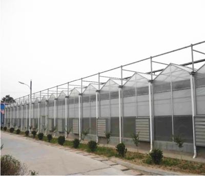 Tomato Grow Agriculture Greenhouses Manufacturers in Venlo Style with PC Sheet Cover