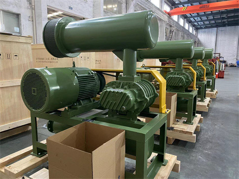 Sewage Treatment Three Lobe Roots Blower Water Cooling Long Life