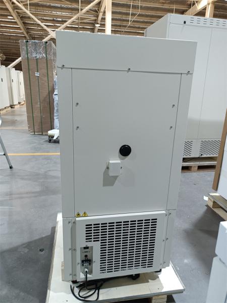 Menos o congelador ULT de Mini Upright Solid Door Biomedical de 86 graus para o hospital