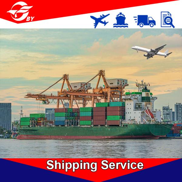 DDP Door To Door Sea Freight Forwarding Services Qingdao - Jacksonville Charlotte Norfolk