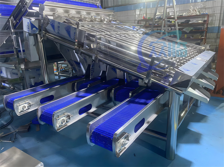 Fresh Prawn Washing Rolling Sorting Machine 1200KG Shrimp Grader Machine