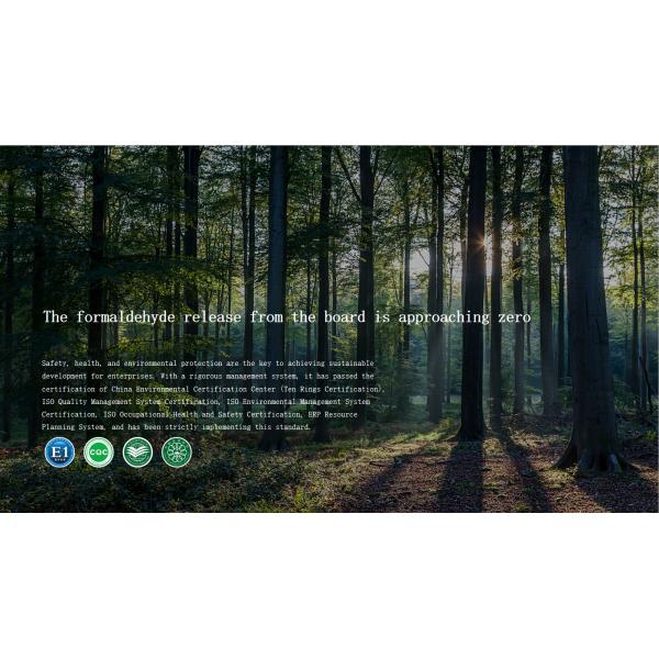 FOSHAN OMAN MEIGE FURNITURE CO.,LTD