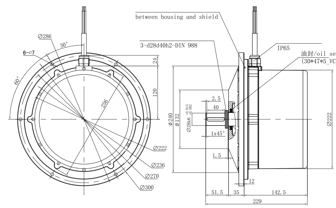 Blower & Drying Motor