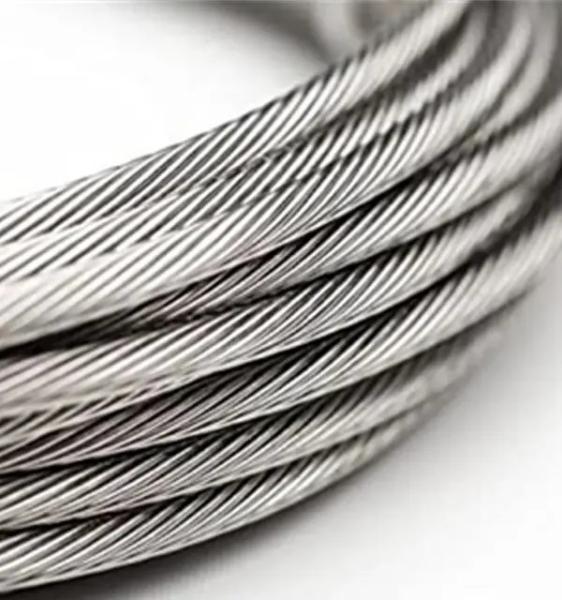 600FT T316 Stainless Steel Cable 1/8 Inch Diameter Garden Decorations 7 x 7 Strands Construction Wire Rope with Cutter