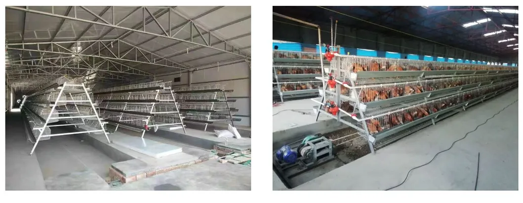 Hot Galvanized 3 Tiers 4 Tiers High Top A Type Layer Cage Chicken Brooder Box for Poultry Farming