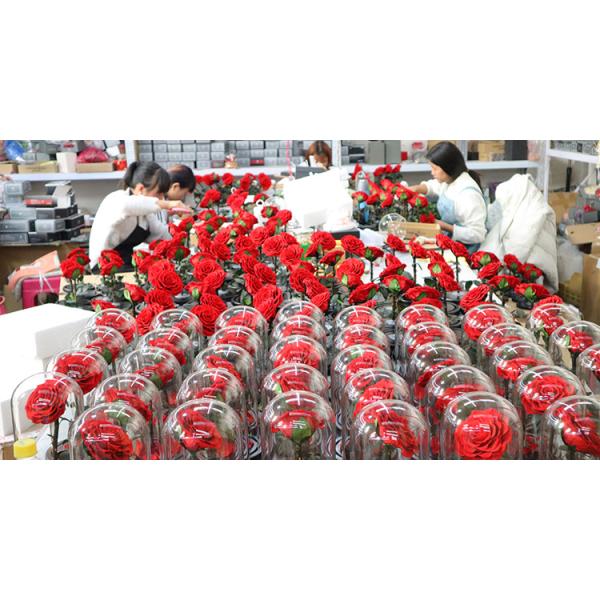 Увековечиванные стеклянные вечные розовые дикторы Блуэтоотх держа свежими на долгое время