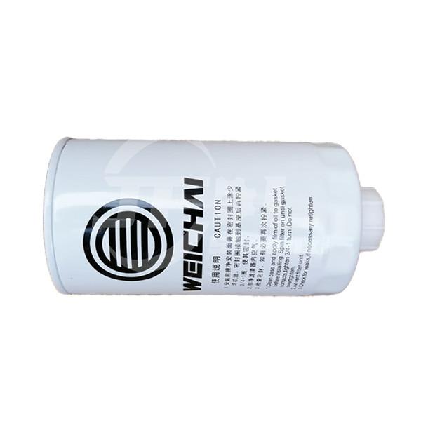 Fuel Filter 1000422384 for SHACMAN