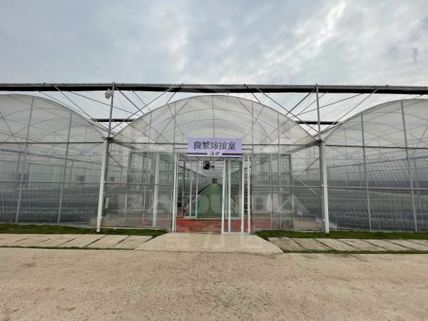 Baolida High Tunnel Plastic Film Multi Span Tropical Green House Siding Vent Agriculture Greenhouse with Shading System