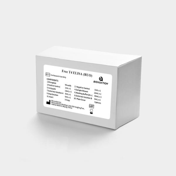 Free T4 ELISA RUO Analysis Kit For Hormone Detection Research