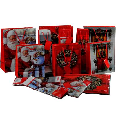 Chirstmas gift bag