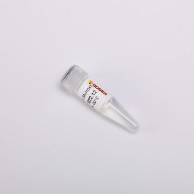 GDSBio Reverse Transcriptase PCR Reagents 20000U Rnase Inhibitor Chemical