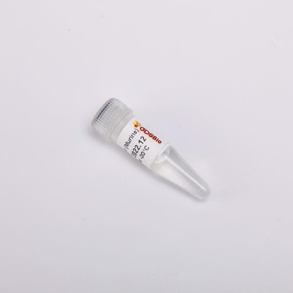 GDSBio Reverse Transcriptase PCR Reagents 20000U Rnase Inhibitor Chemical