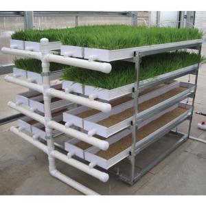 Máquina de alimentação hidropônica de ervas vegetais Pecuária Granja Sistemas de