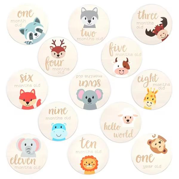 Des cartes de la plus haute importance mensuelle - Les disques en bois parfaits pour les animaux adorables Des cartes de la plus haute importance de votre nouveau-né