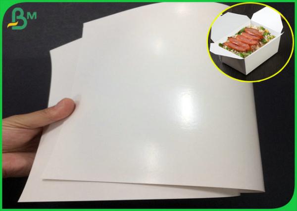 300gsm FDA certificou um PE lateral papel revestido de FBB com lustroso alto