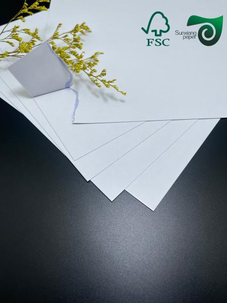FSC 300gsm Double Side Coated Cardboard For Game Cards  70cm 100cm C2S Art Board