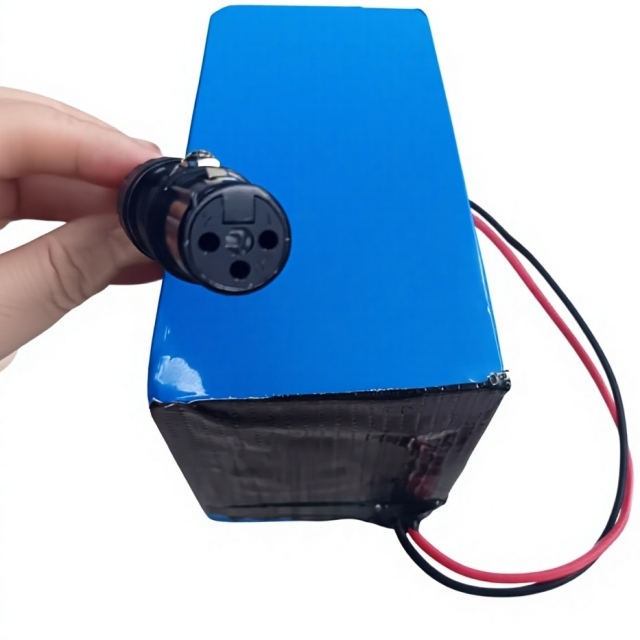 Custom Battery Pack 18650 7s4p 24V 10ah Battery for Golf Trolley