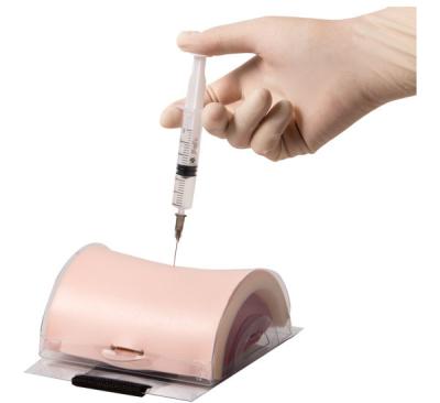 PVC Intramuscular Injection Pad For Medical Colleges Training