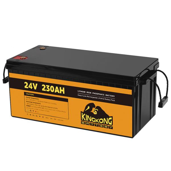 24В 50Ах 60Ах 100Ах 200Ах 230Ах 300Ах 400Ах 460Ах Железная литийная батарея LifePo4 с BMS