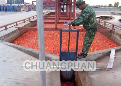 Customized Automatic Tomato Paste Production Line Turn Key 1-50T/H 28-30/36-38brix