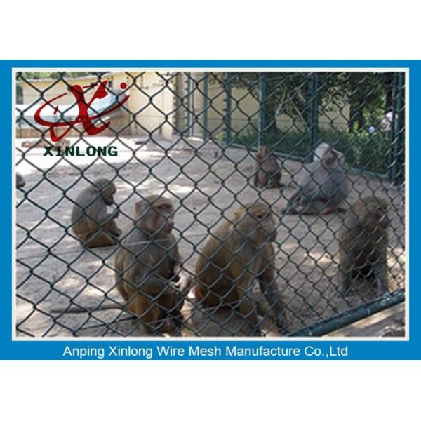 Low Carbon Steel Wire Diamond Chain Link Fence / Sports Ground Fencing