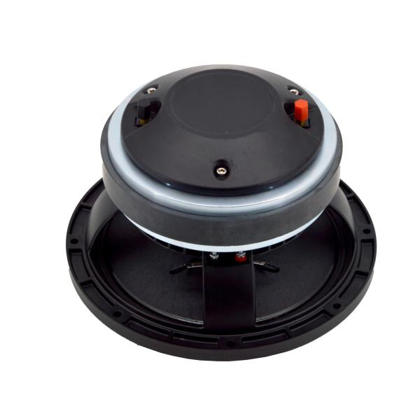 75mm Voice Coil 10 Inches 97dB Coaxial Speakers With Good Bass