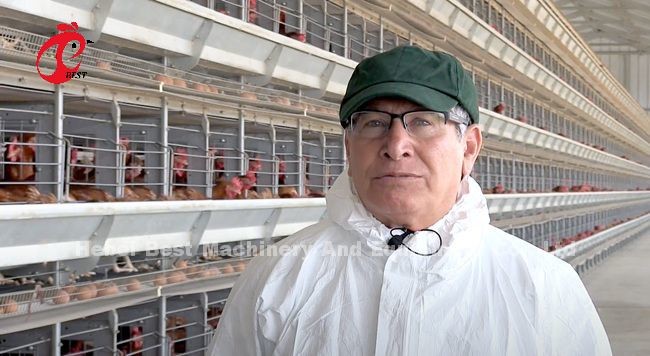 Полноавтоматическая птицеводческая батарейная клеточная система типа H