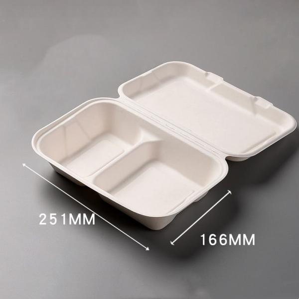 Eco-Friendly Disposable Packaging Boxes for Multi Color Biodegradable Fruits and Eggs