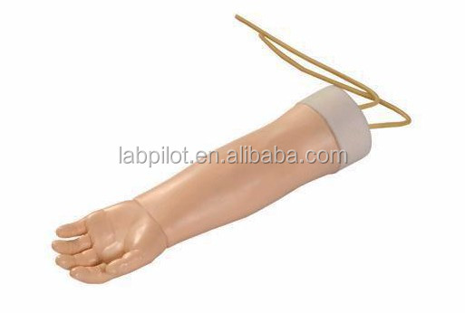 Medical Science Subject Portable Venipuncture Training Arm Model with Replaceable Skin