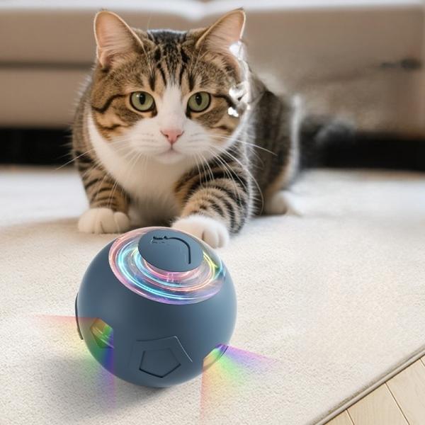 Ballon d'entraînement écologique pour animaux de compagnie étanche à l'eau, résistant à l'eau