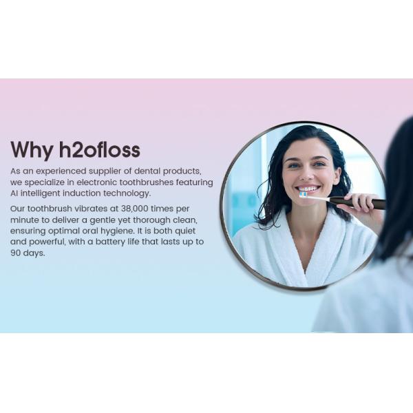 Custom Rechargeable Electric Toothbrush Supplier Cheap Bulk for Travel and Teeth Whitening