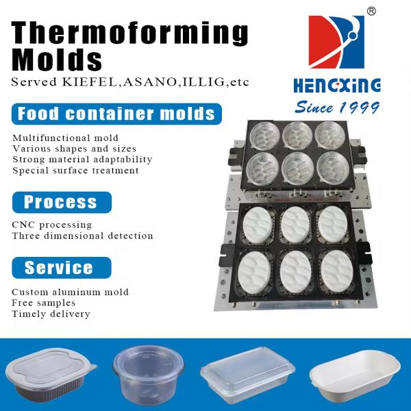 Aluminum Alloy Thermoforming Blister Mold Molded Product Aluminum Molds