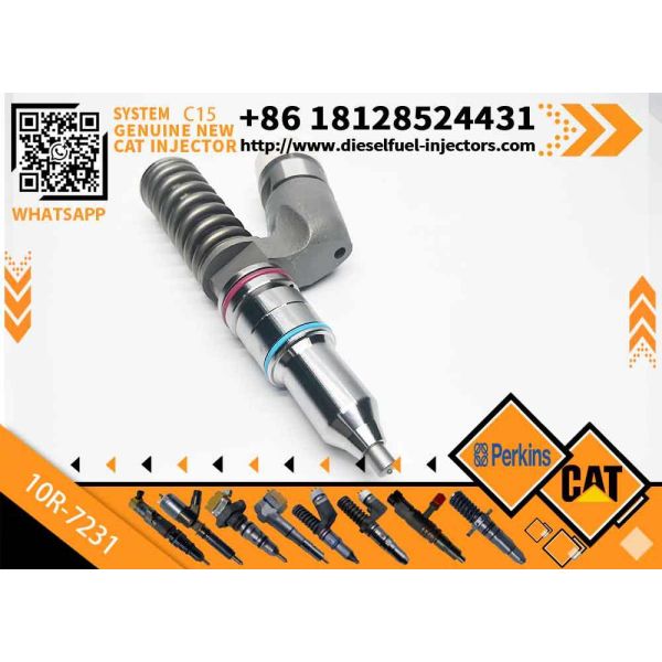 Diesel Fuel Injector 276-8307 10R-7231 230-3775 for Cat-erpillar C18/C32 Common Rail Injection Valves