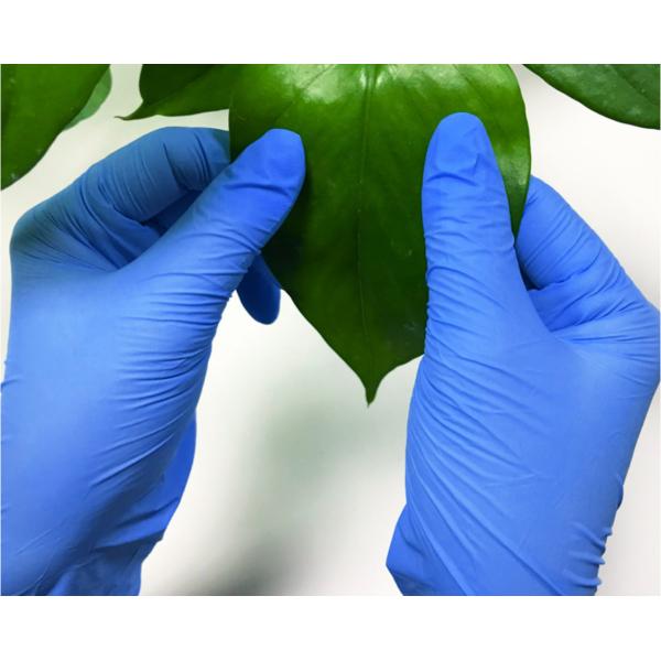 Cheap Anti bacteria Powder Free High Quality Box packing Disposable Nitrile Gloves