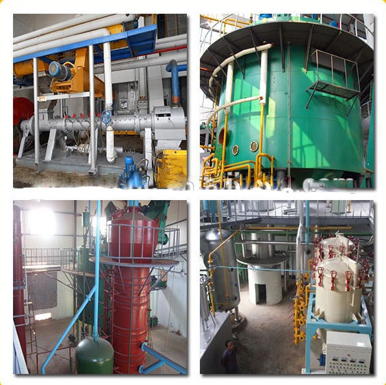 30t/d Peanut Soya Rice Bran Plant Oil Solvent Extraction Machine Production Line Clean and Processing for Restaurants
