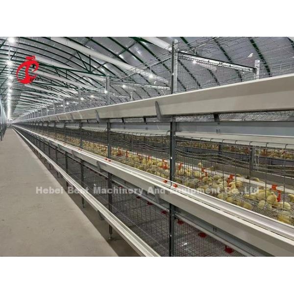 A And H Poultry Broiler Cage Raising Equipment For Day Old Chicks Sandy