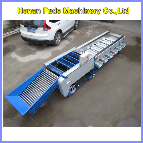 mango cleaning ,waxing and sorting machine, mango cleaning waxing grading machine