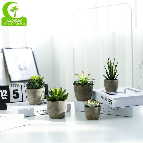 Planta suculento artificial real verde do toque 11.5cm para o Desktop