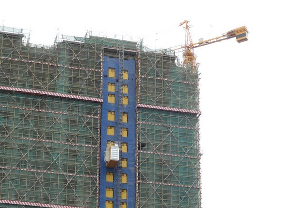 モジュラー可変的な頻度ドライブ2000kg建築敷地の起重機