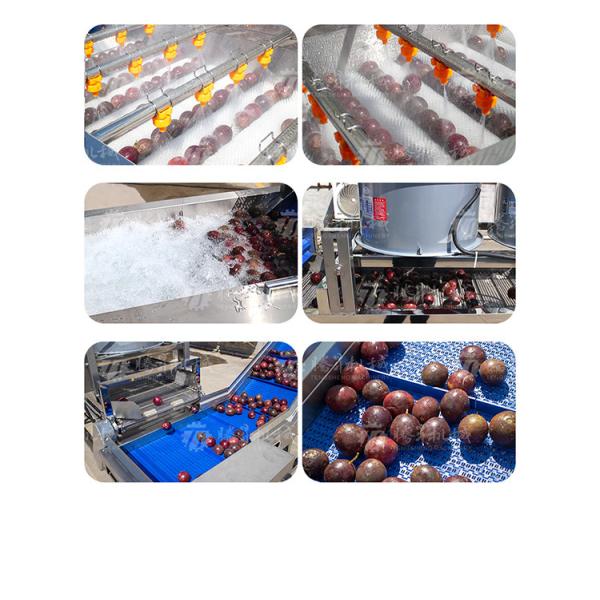 Машина 1500KG/H пузыря ролика шерстей фрукта и овоща очищая
