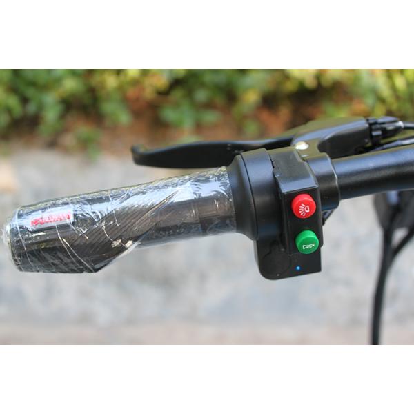 Safe Automative 14 Inch Electric Bike Aluminum Alloy Long Life Span