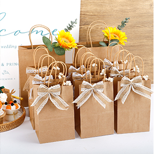 Recyclable Shopping Bags, Retail Bags, Party Bags, Merchandise Bags, Favor Bags, Merchandise Retail Bags