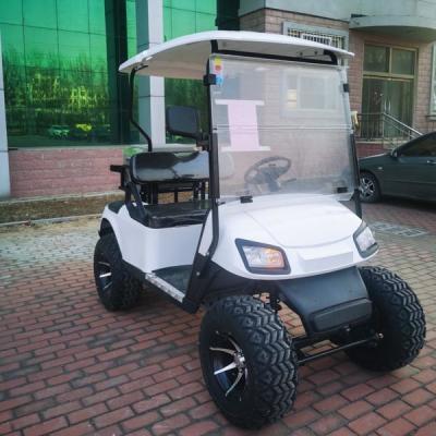 Carrinho de golfe OEM Mini Aetric 2 lugares 30 mph com bateria de chumbo-ácido