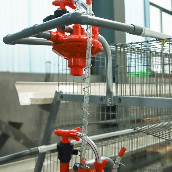 Hot Dip Galvanize Steel Automatic a Type Layer Poultry Farm Battery Chicken Cage for Chicken