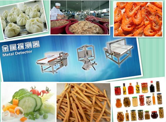 Conveyor Belt Metal Detector for Food Industry