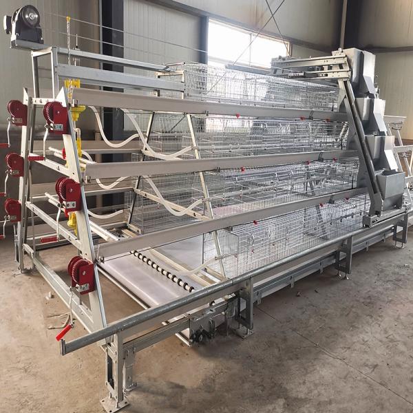 A Type Q235 Steel Baby Chicken Cage Hot Galvanized wire mesh