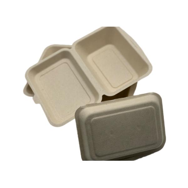 Disposable Bagasse 7×5 Inch 20g Bio Food Packaging