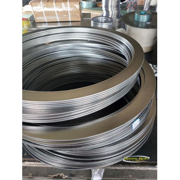 Sealing and Balanced Stainless Steel Reinforced Graphite Metallic Gasket for Industrial