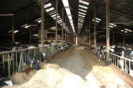 Горячий/гальванизированные системы стали Clearspan обрамляя с колонкой форм h