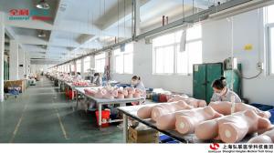 Shanghai Honglian Medical Tech Group